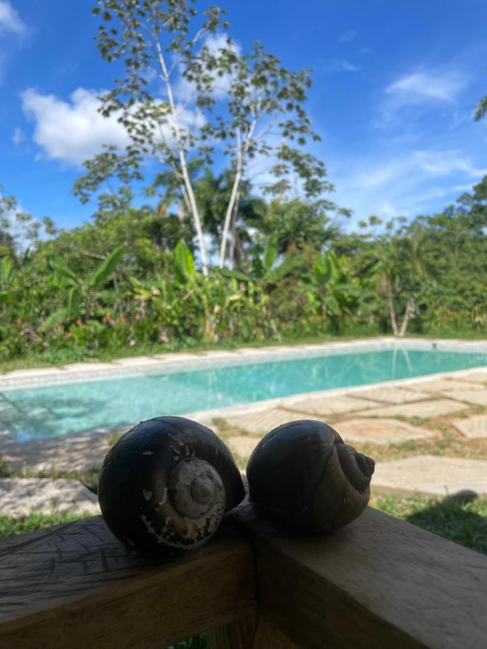 Purachata Ecolodge Iquitos Kültér fotó