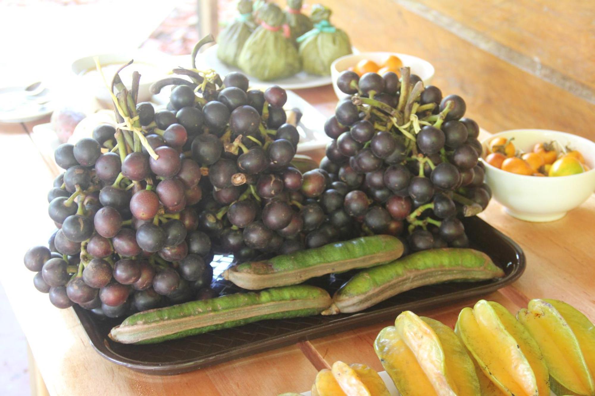 Purachata Ecolodge Iquitos Kültér fotó