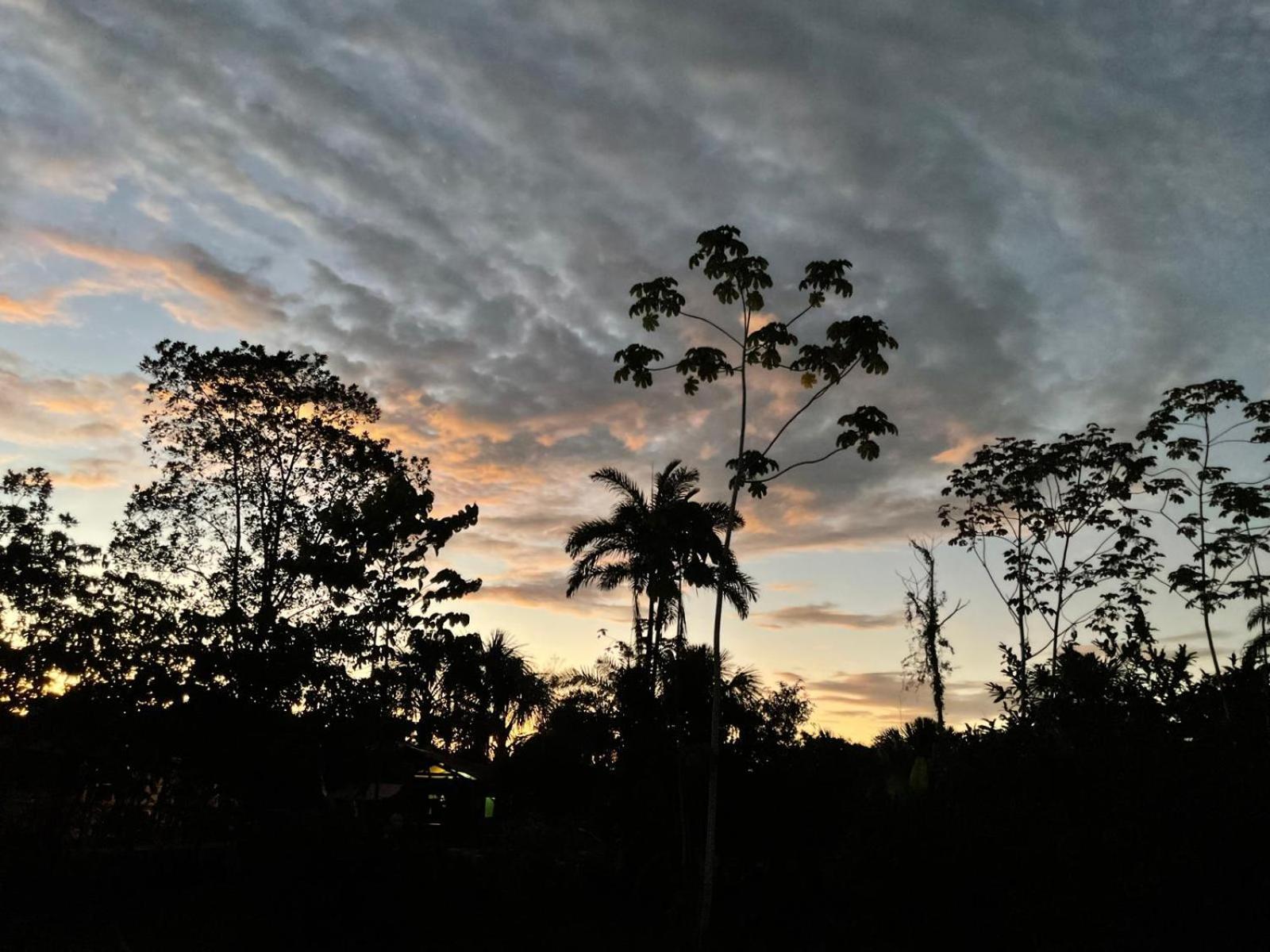 Purachata Ecolodge Iquitos Kültér fotó