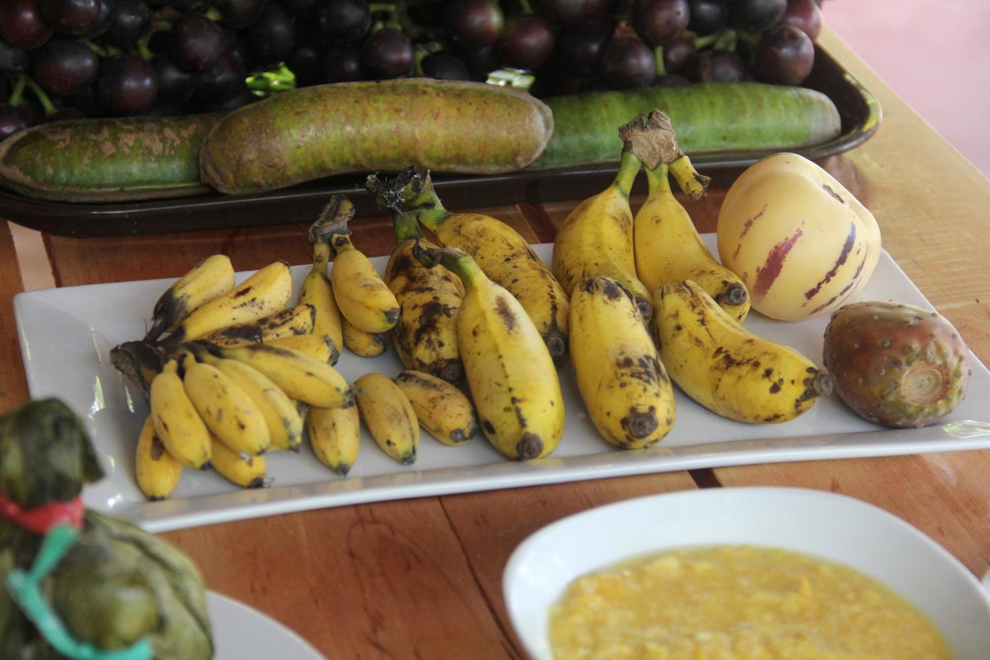 Purachata Ecolodge Iquitos Kültér fotó