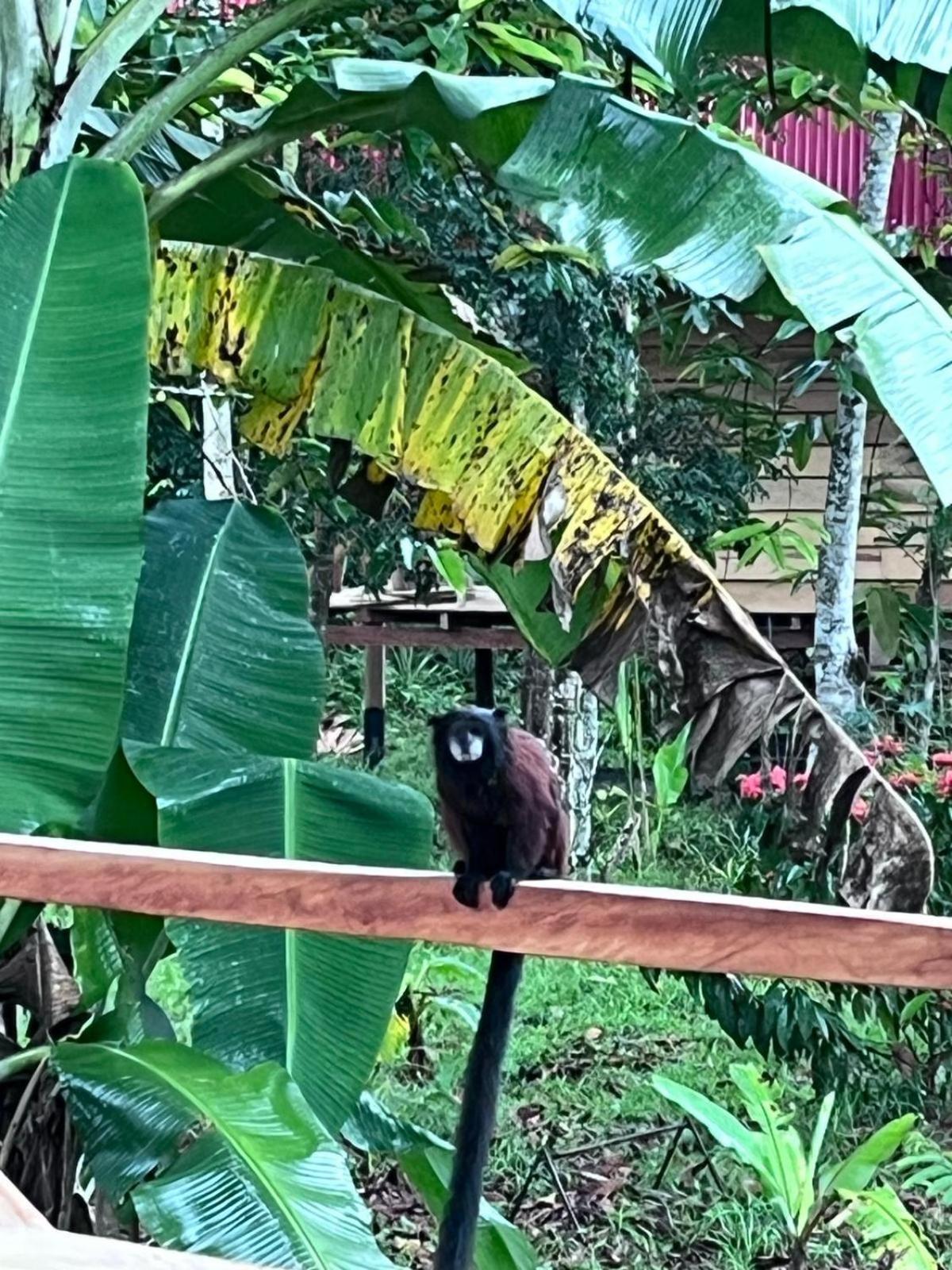 Purachata Ecolodge Iquitos Kültér fotó