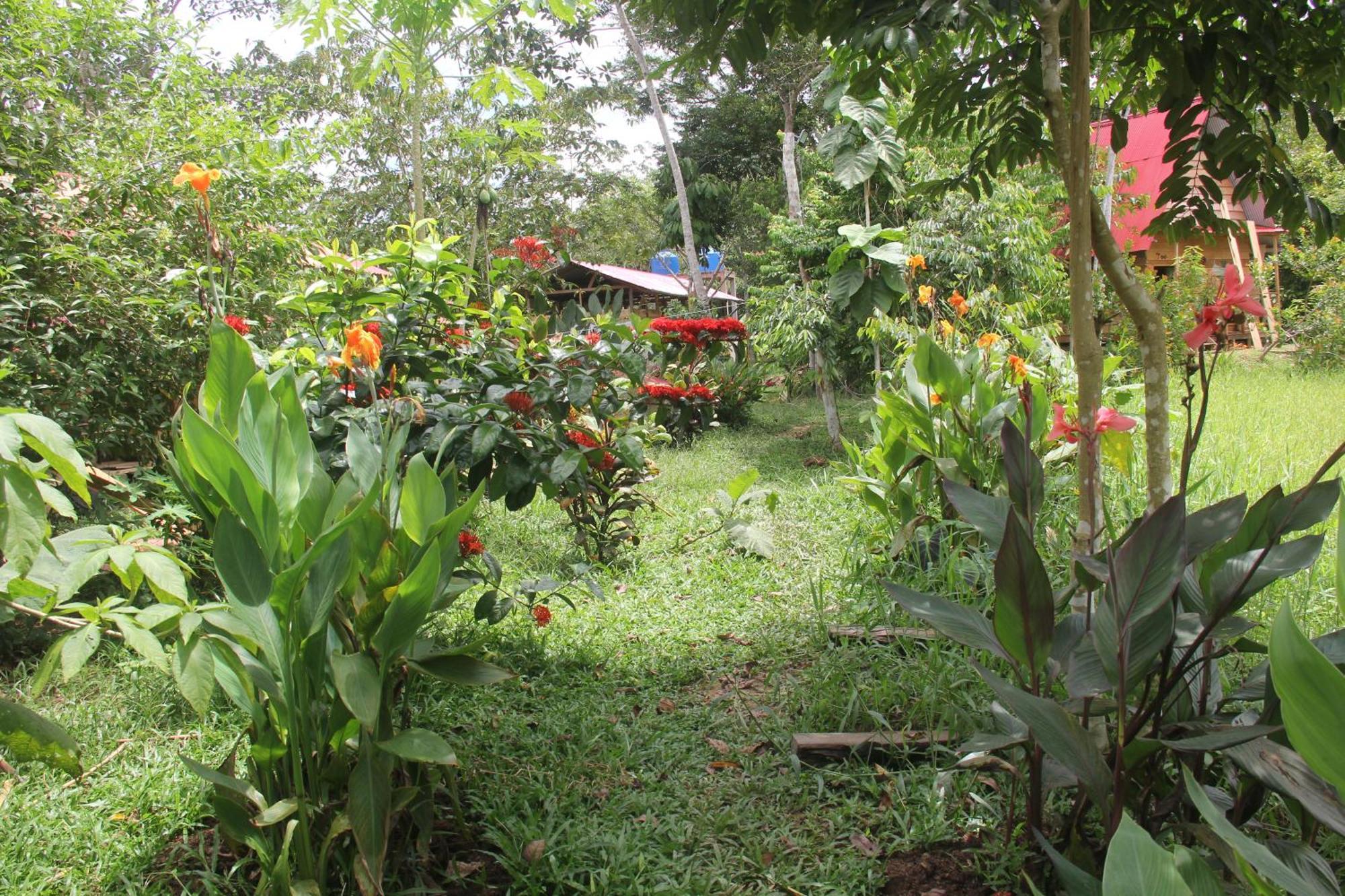 Purachata Ecolodge Iquitos Kültér fotó